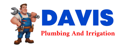 Trusted plumber in DODD CITY